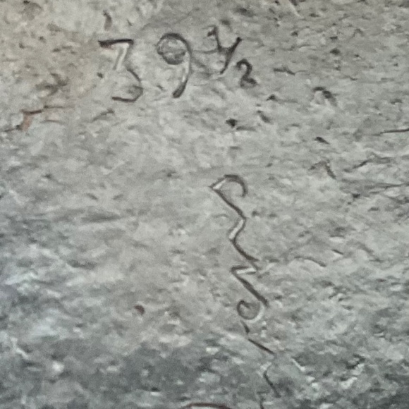 Rick Owens Dust Snake Platform Heel Wedge Mules size 39 1/2" EU - Picture 12 of 12